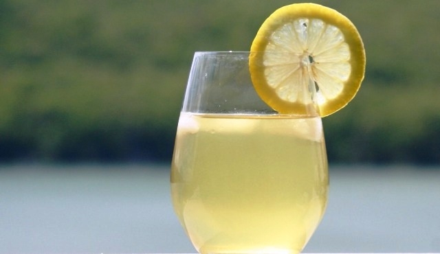 Frozen Grape Lemonade