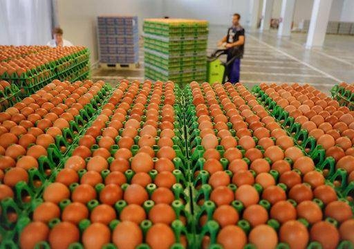  CAG slams FSSAI over lapses in enforcing food safety 