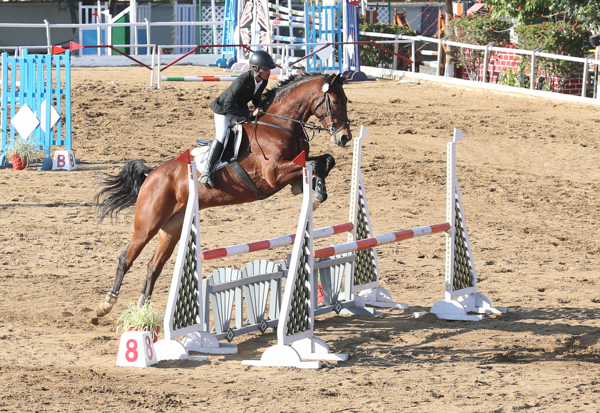 Junior National Horse Racing and Central India Horse Show 2017