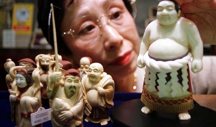 World’s Top Leader in the Ivory Consumption and Production Japan, under Pressure to Ban Ivory Export after China Did It Last Year!