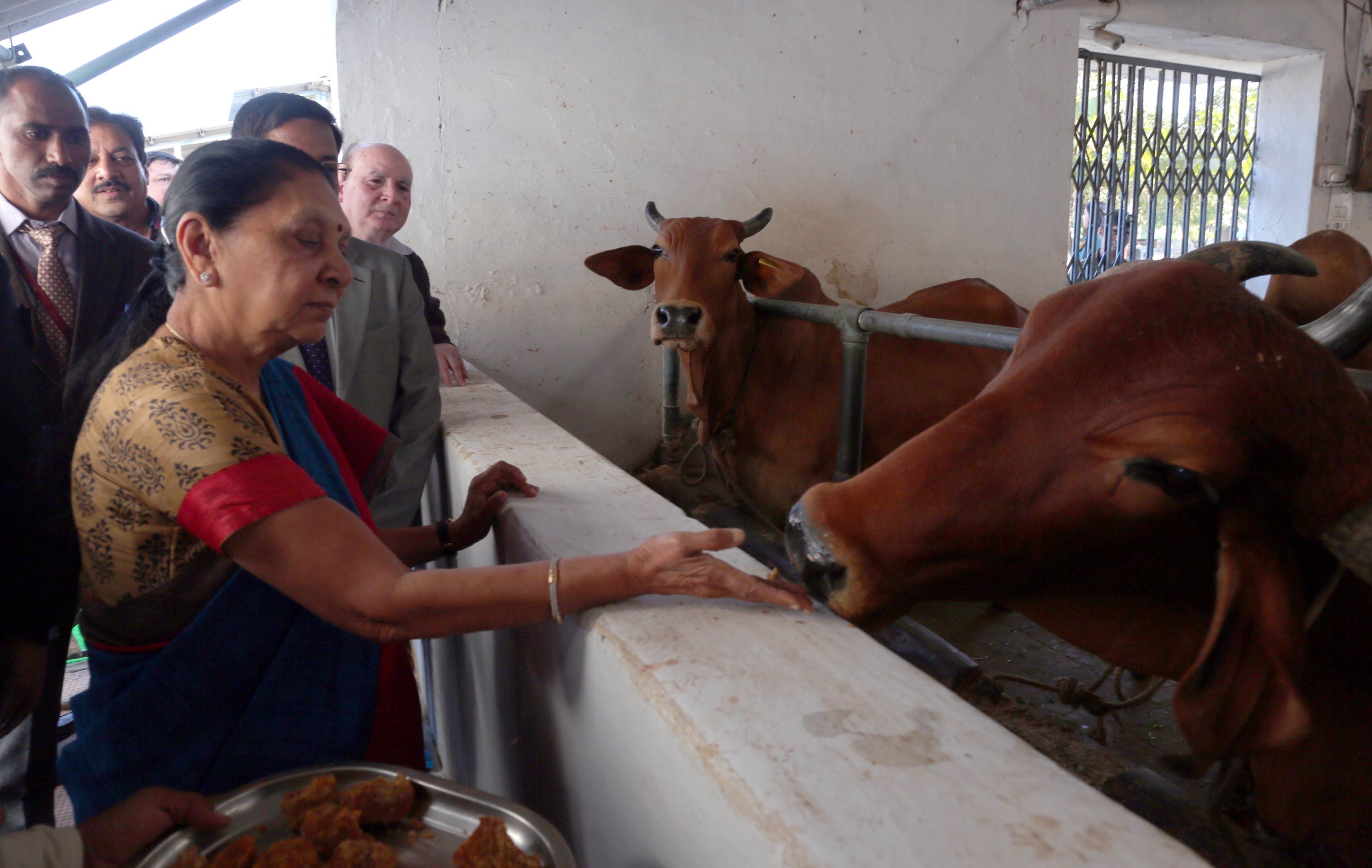 Gou-Seva is the Biggest Religion: Governor Smt. Patel