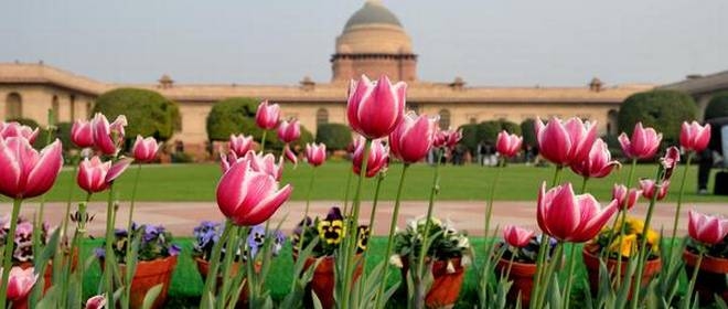 Mughal gardens will be open for general public till March 6, 2018   