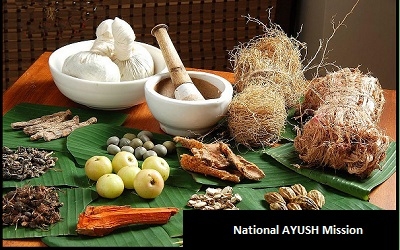 Government increased budget allocation for National AYUSH Mission