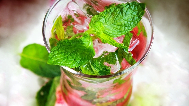 Cranberry Holiday Mojito with Fresh Mint