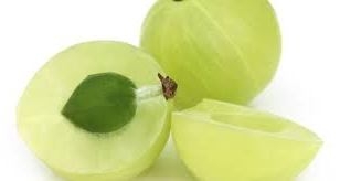 Indian gooseberries (Amla) is boon for premature white and falling hair