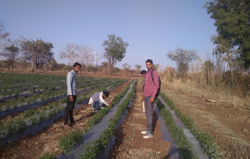 Gramophone App has an answer for every question of farmers