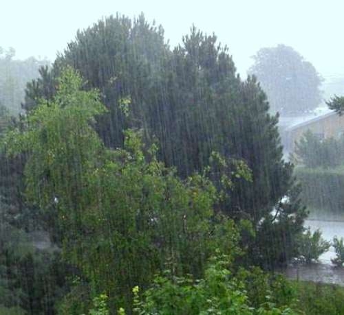 Good news, monsoon to reach in Kerala four days earlier.