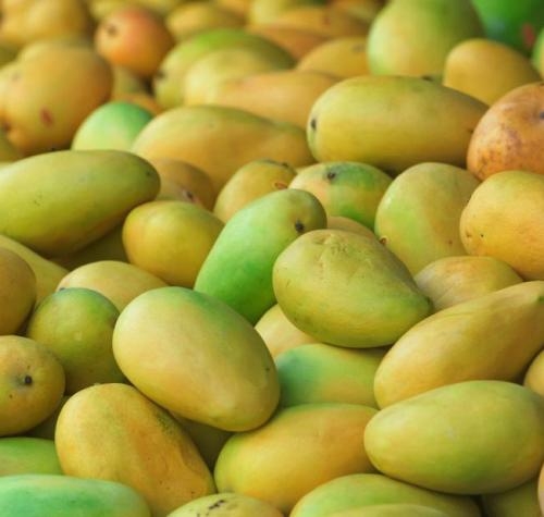 Kerala fruits and vegetables export banned due to Nipah virus. 