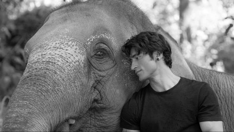Vidyut Jammwal  appreciates railway for  saving elephants