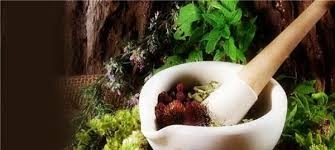 Ayurvedic Herbal Diet for Healthy Living-For Beginners