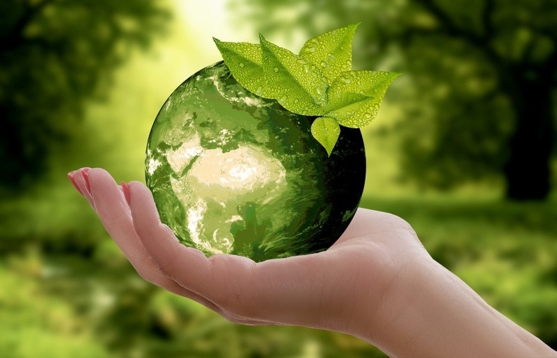 On the occasion of World Environment Day, stars began a campaign against plastic pollution