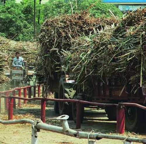 Kairana effect: Gift for sugarcane farmers from Modi government!