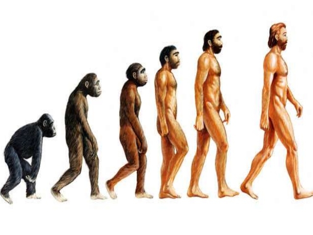 HUMAN ORIGINS