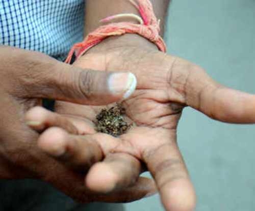 After liquor, gutkha and pan masala. Khaini is to be banned in Bihar
