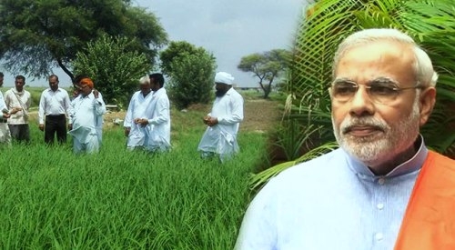 किसानों के लिए मोदी सरकार ने खोला पिटारा, खरीफ फसलों के न्यूनतम समर्थन मूल्य में भारी वृद्धि
