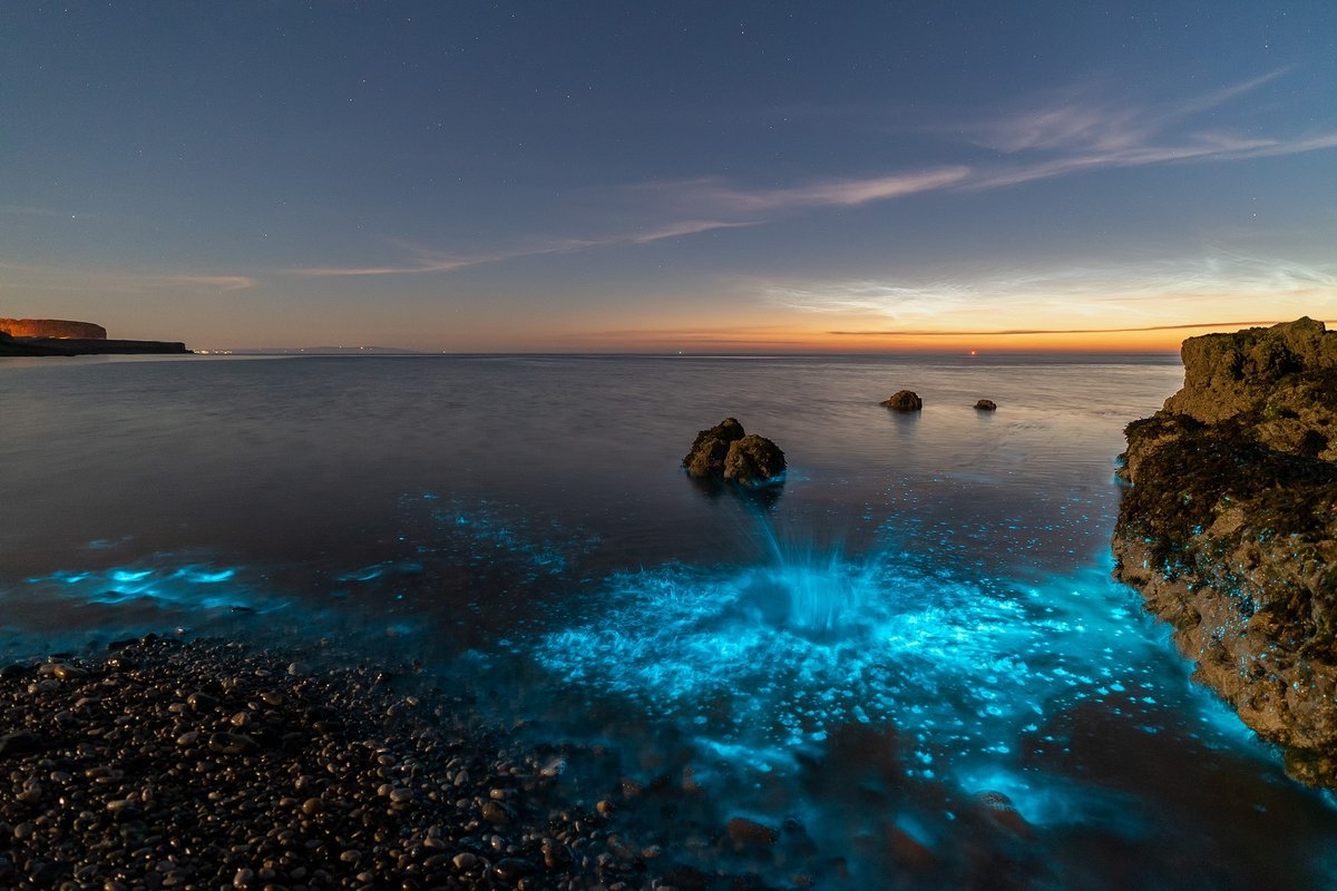 Watch the sea sparkle effect is due to bioluminescent plankton