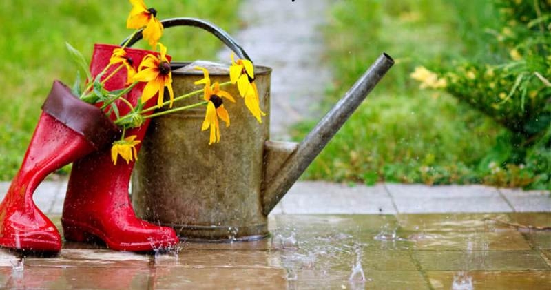 Stylish and comfortable footwear for monsoon