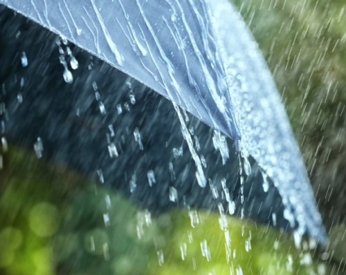 Heavy rain forecast in Bhopal including Indore, Ujjain and Jabalpur districts
