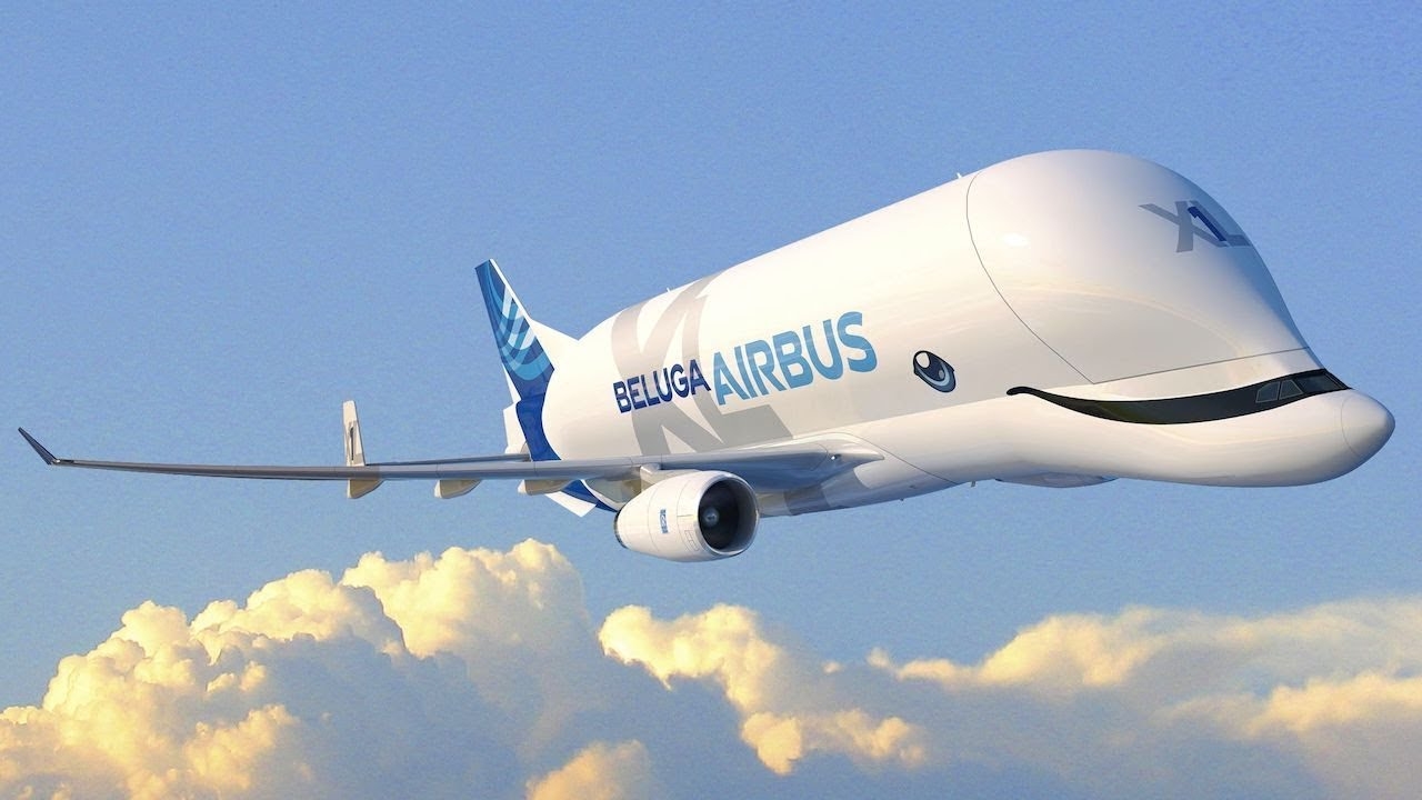 Whale in the sky - The BelugaXL