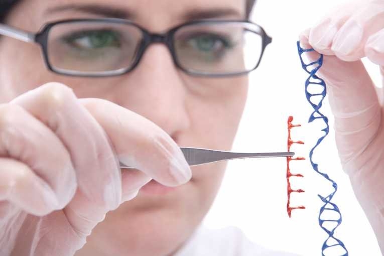 Future of genetic engineering in humans