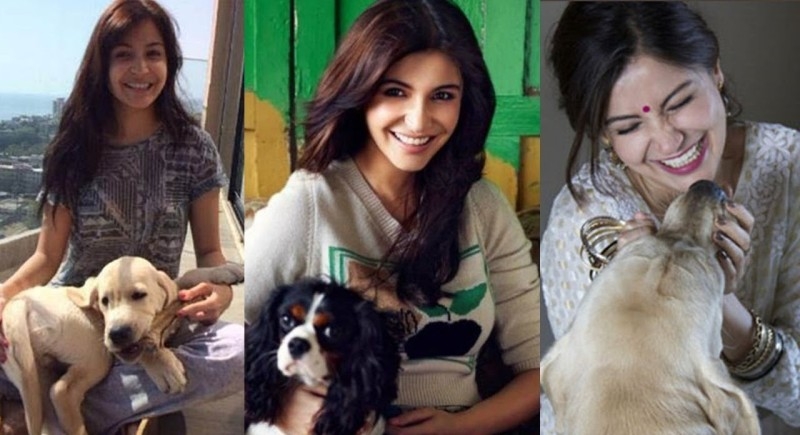 Being vegetarian is one of the best decisions of my life: Anushka Sharma