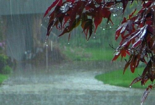 Less than normal rainfall in ten districts