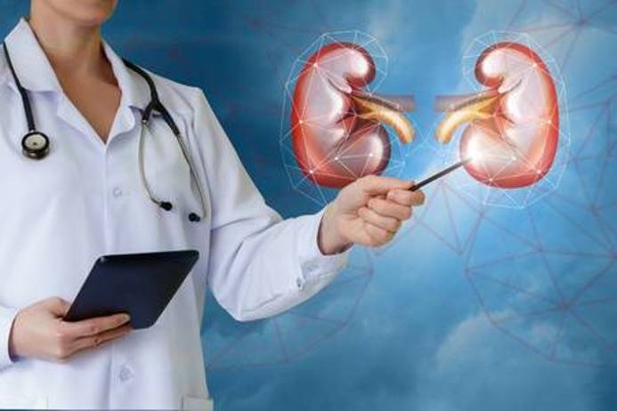 Scientists revealed new virus linked to kidney disease 