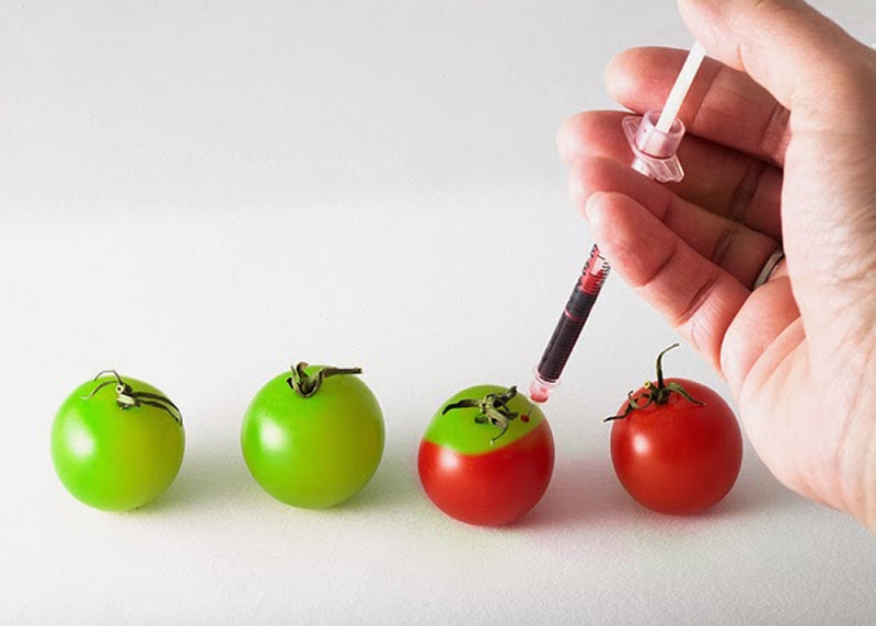 GENETICALLY MODIFIED ORGANISMS