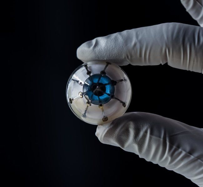  Scientist develops retina of eyes in lab to decode how humans develop colour vision 