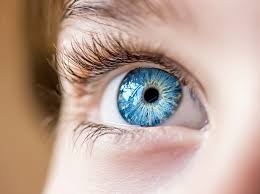 Abnormal vision in childhood impairs brain functions: Study 