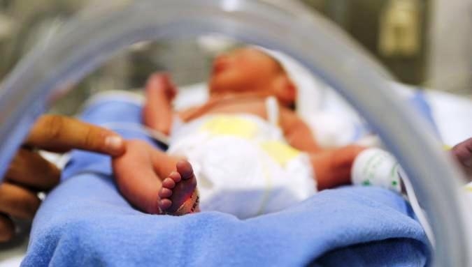  Immune system may play a role in preventing premature birth: Study 