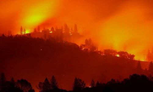  California wildfires toll reaches 65, 631 remain missing 