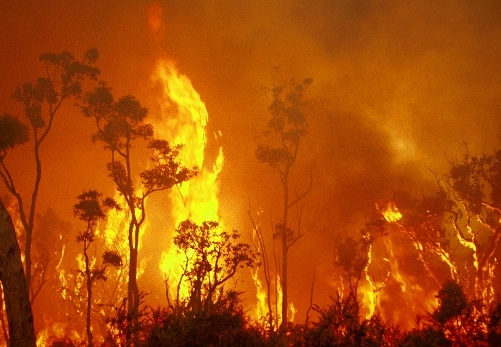  Heat, wind fuel wildfires in Australia 