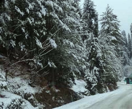  J&K schools shut as cold wave sweeps Kashmir, Ladakh 