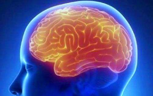 Novel use for graphene found -- detecting brain disorders 