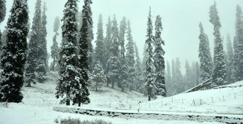  Severe cold in Kashmir as Chillai Kalan sets in 