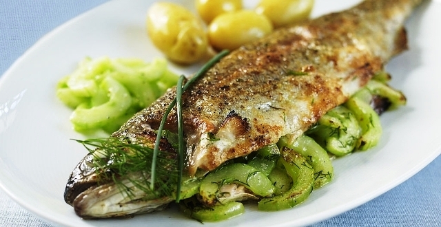 Grilled trout with cucumber and dill