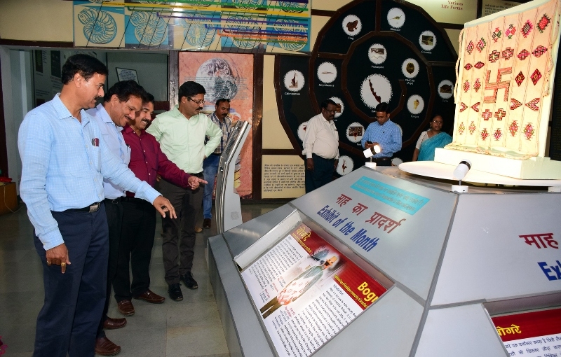 Bogre became popular amongst visitors