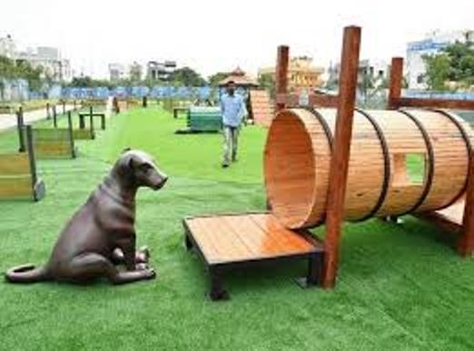 Looking for a place to set your furry companion free? Here are 5 dog-friendly parks to head to 