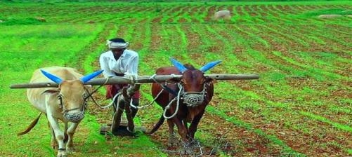  Farmers’ loan waiver affects ‘heavy' on farmers itself