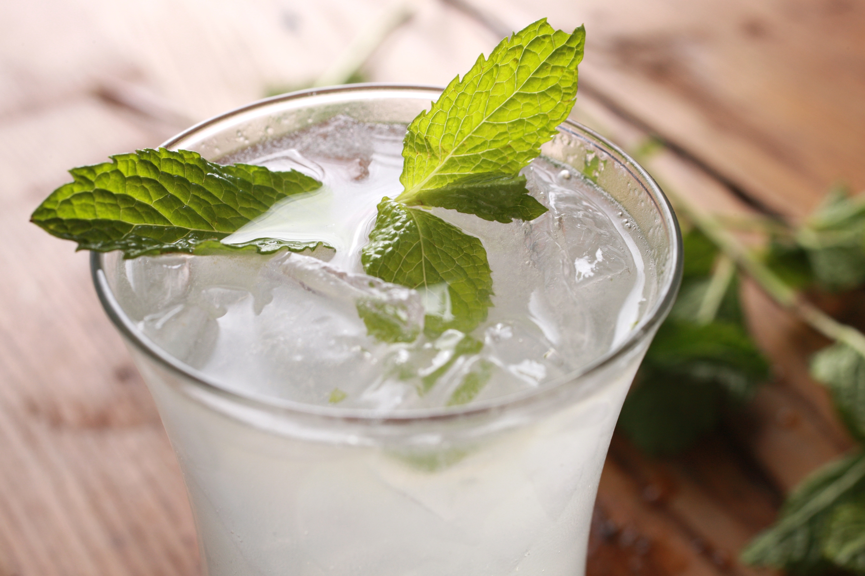 The Real Mojito