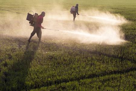 ​Increased use of fertilisers by farmers affecting health