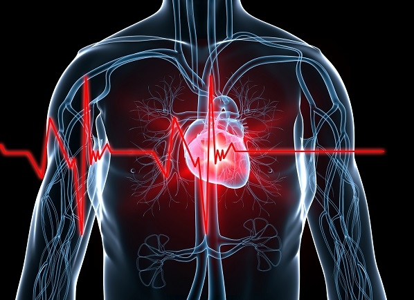  2 drinks daily may up irregular heartbeat risk 