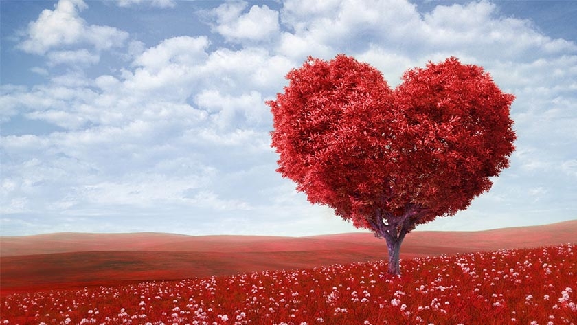 Its Sisters’ Day not Valentines Day on February 14 in Pakistan !