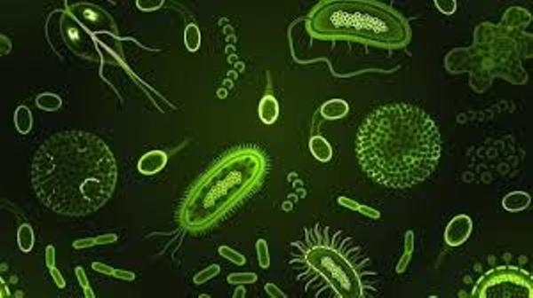  Protect yourself from 'unforeseen' contaminants 