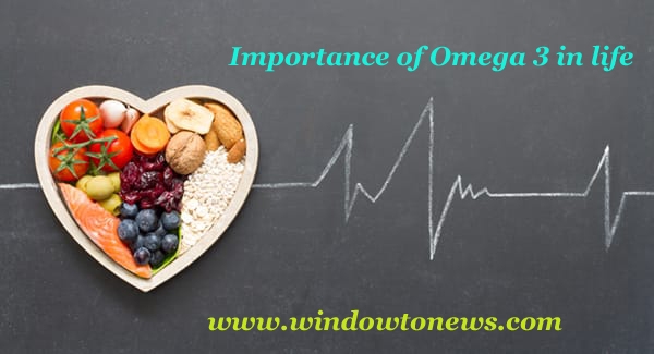 Importance of Omega 3 in life