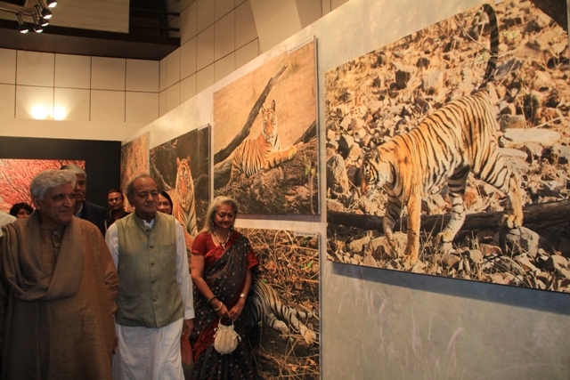 Javed Akhtar Inagaurates Former Union Minister Kamal Morarka art Exhibition "THE Big Cats"