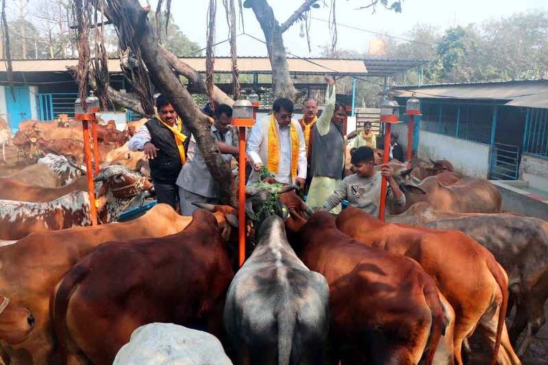 Gou-Shalas to be developed: Minister P.C. Sharma