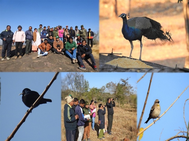 Indira Gandhi Rashtriya Manav Sangrahalaya, Bhopal organized "Bird Walk"