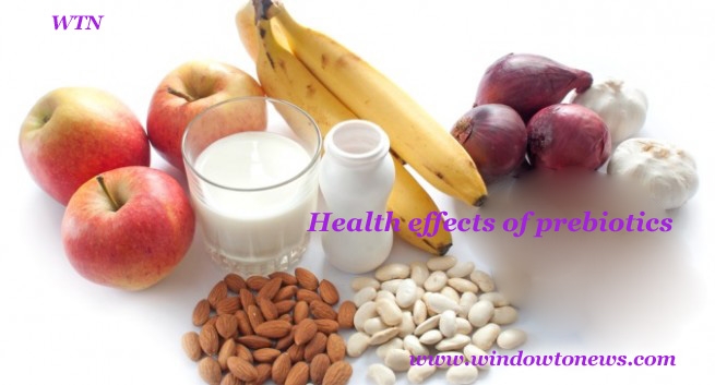 Health effects of prebiotics
